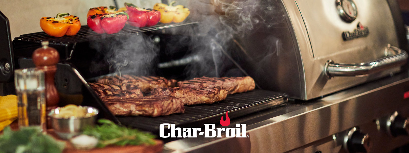 Char Broil Wayfair